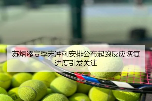苏炳添赛季末冲刺安排公布起跑反应恢复进度引发关注