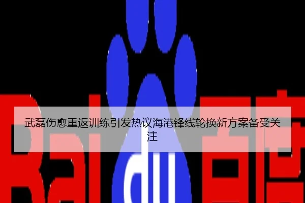武磊伤愈重返训练引发热议海港锋线轮换新方案备受关注